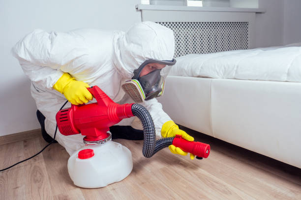Best Termite Control Services  in Bethel Rk, PA